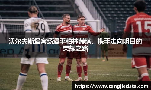 完美体育官网