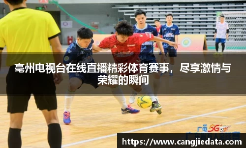 亳州电视台在线直播精彩体育赛事，尽享激情与荣耀的瞬间