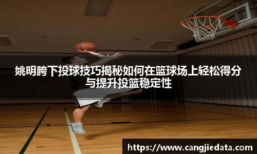 完美体育