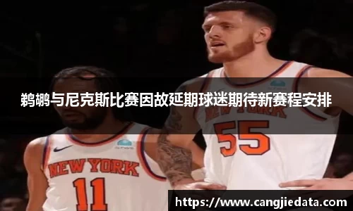 鹈鹕与尼克斯比赛因故延期球迷期待新赛程安排