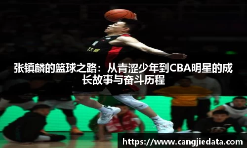 完美体育app下载安装