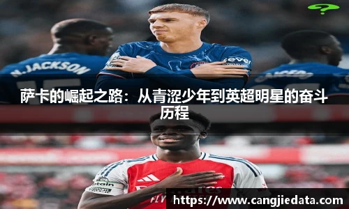 完美体育