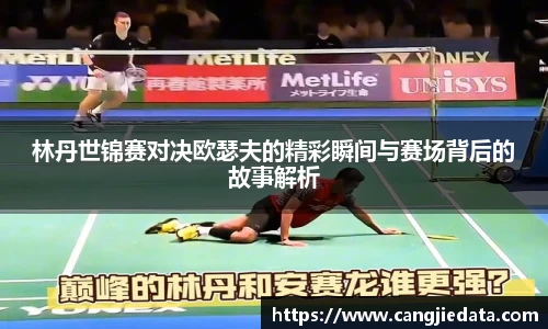 完美体育官网
