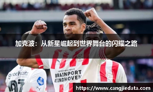 完美体育在线入口官网