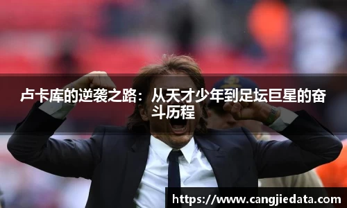 完美体育官网