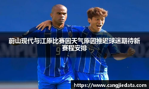 完美体育在线入口官网