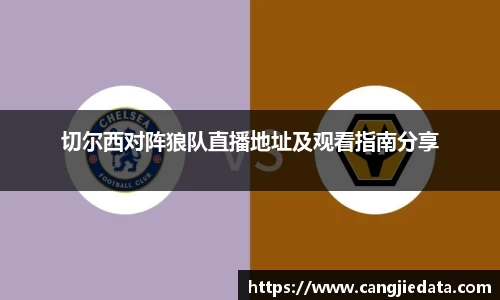 完美体育app下载安装