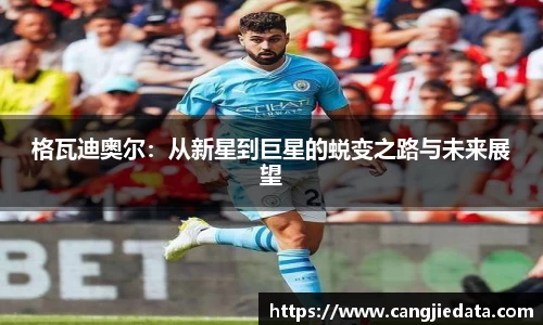 完美体育在线入口官网