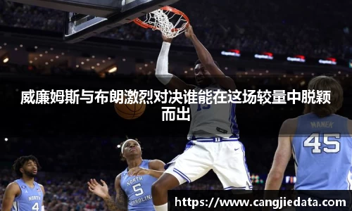 完美体育在线入口官网