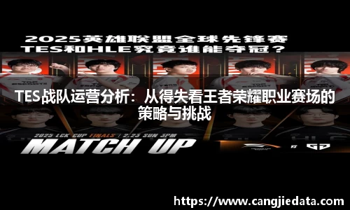 TES战队运营分析：从得失看王者荣耀职业赛场的策略与挑战