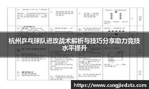 杭州乒乓球队进攻战术解析与技巧分享助力竞技水平提升