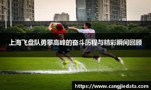 上海飞盘队勇攀高峰的奋斗历程与精彩瞬间回顾